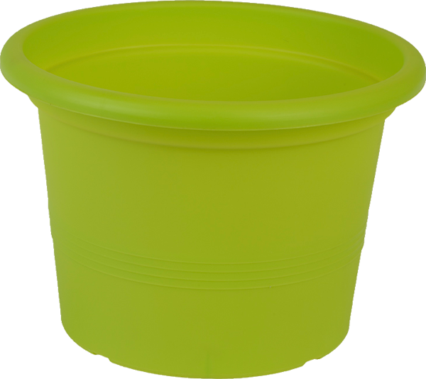 Ghiveci pentru flori Campanula 17 cm