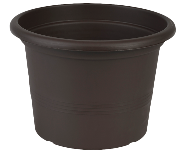 Ghiveci Campanula 40