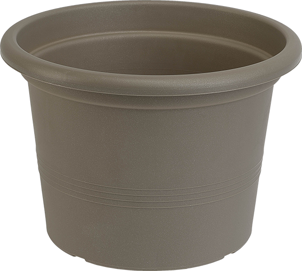 Ghiveci Campanula 40