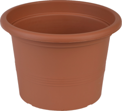 Ghiveci pentru flori Campanula 17 cm